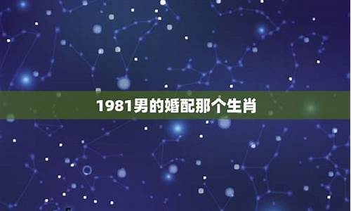 十二星座的婚配宜忌-十二星座婚姻最佳搭配