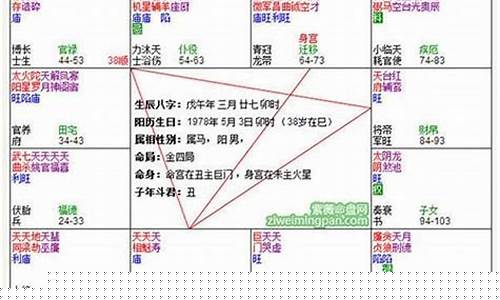 紫薇命盘和八字命盘哪个准-八字跟紫薇盘不一样
