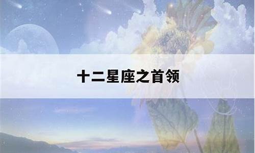 十二星座真正的首领排名-12星座的首领是哪个星座