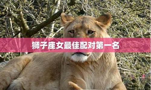 狮子座最佳配对第一名-狮子座