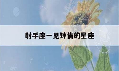 射手座一见钟情的星座-射手座一见钟情的星座星座