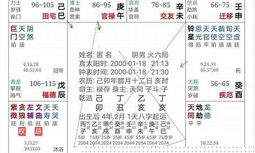 紫微斗数命盘查询-紫微斗数命盘查询多少钱