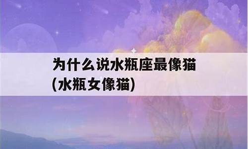 为什么说水瓶座最像猫-水瓶座像哪种动物