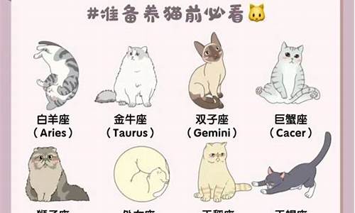 十二星座水晶猫咪-十二星座水晶高跟鞋图片