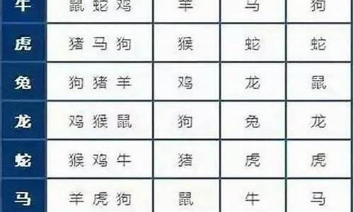 属猪的婚配最佳配对2007年出生-属猪的婚配最佳配对