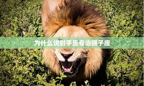 为什么说射手座专治狮子座-射手座搞不定狮子座