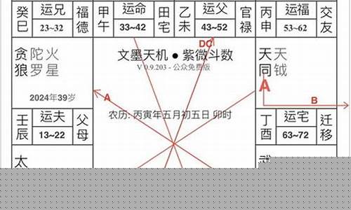 紫微命盘各命宫详解-紫微命盘144种命格解析