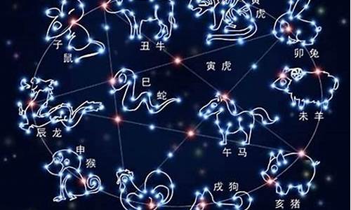 十二星座的长相特点-十二星座的长相特点是什么