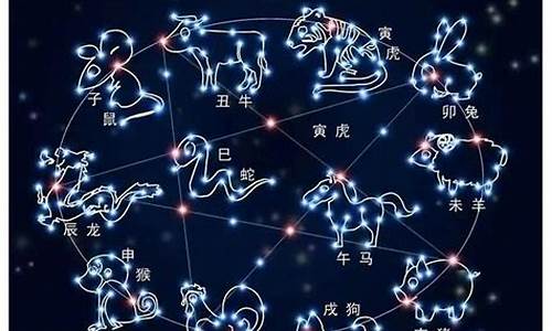 十二星座一共有多少个星座-十二星座一共有多少个星座女生