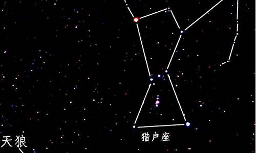 天狼星属于哪个星座-天狼星是什么星