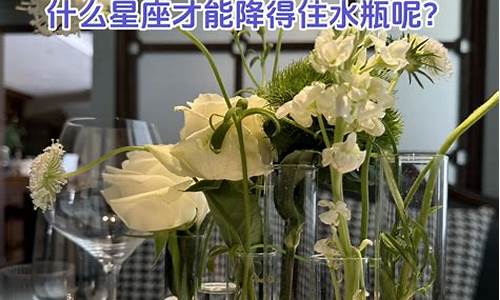 能降住水瓶座的星座-水瓶座降得住什么星座