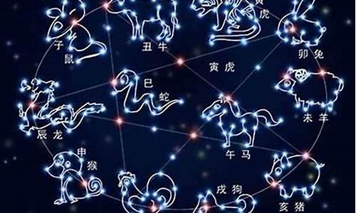 十二星座的长相特点-十二星座的长相特点男