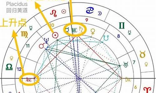 星盘宫位系统哪个最准-星盘查询分析宫位