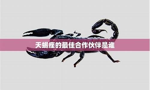 天蝎座的最佳配对星座-天蝎座最配的星座是?