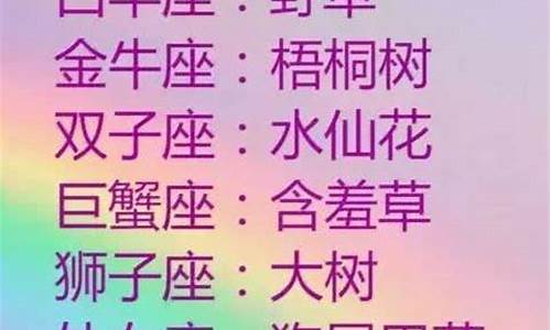 十二星座代表的花仙精灵王-十二星座代表的花