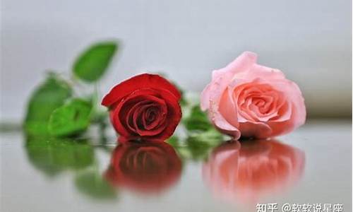 白羊座的软肋是什么-白羊座的5大软肋