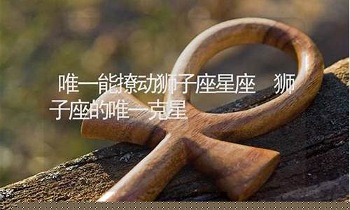 谁能治狮子座-唯一能治狮子座的星座