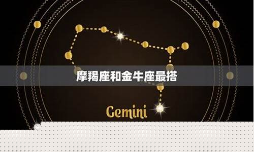 摩羯座最喜欢哪一个星座-摩羯最喜欢什么星座