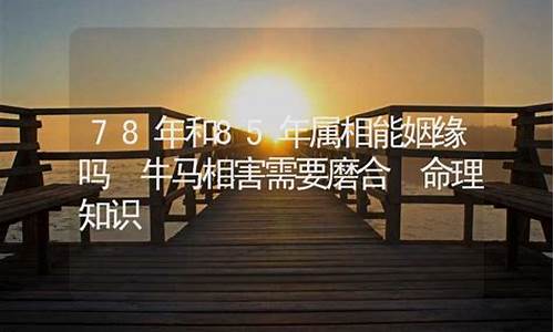 星座能不能决定一个人的命运-星座真的能决定姻缘吗