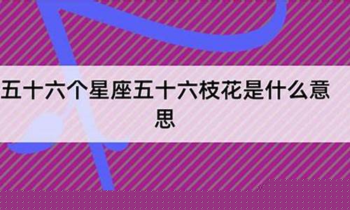 五十六个星座是什么意思-五十六个星座啥意思