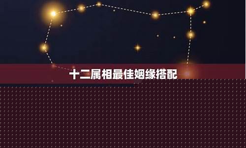 十二属相最佳配对查询-十二属相最佳配对