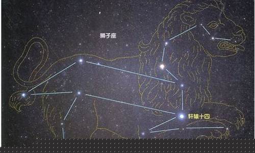满脑子都是狮子座的星座-满脑子都是什么